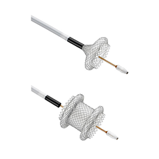 AXIOS™ Stent and Electrocautery Enhanced Delivery System