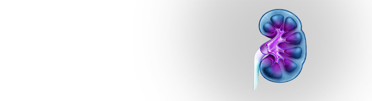 C&aacute;lculo de estruvita