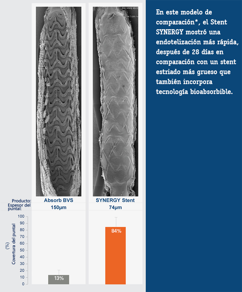 Evidencia clínica previa de SYNERGY: Cicatrización y endotelización en Stent SYNERGY