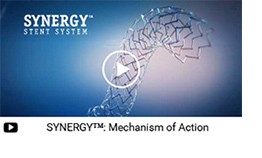 Centro de recursos SYNERGY: mecanismo de animación de la acción