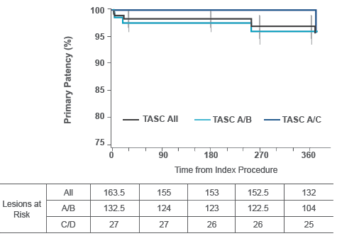 gráfico: permeabilidad primaria de 12 meses en la clasificación TASC