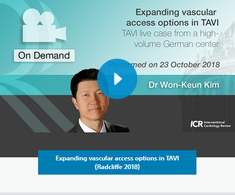 Expanding vascular access options in TAVI (Radcliffe 2018)
