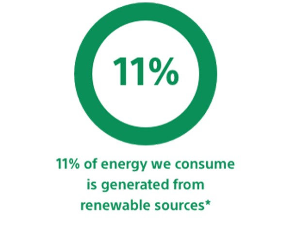 Graph representing: 19% of energy we consume is generated from renewable resources in 2017