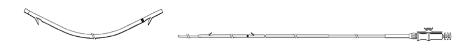 Advanix Center Bend Preloaded RX Stent Systems