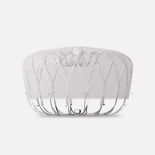 Estructura del corazón