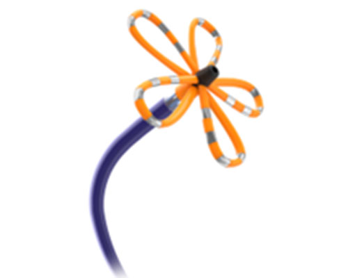 FARAWAVE™  カテーテルの画像1