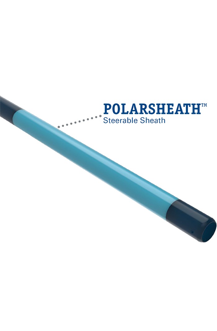 POLARSHEATH™ STEERABLE SHEATH