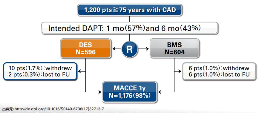 SENIOR 　試験デザイン