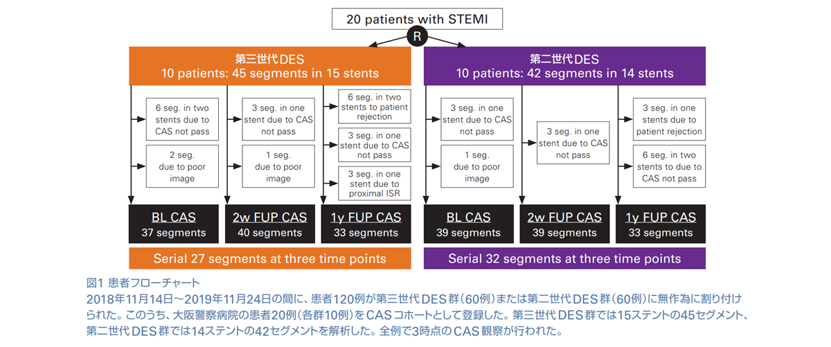 図1 患者フローチャート