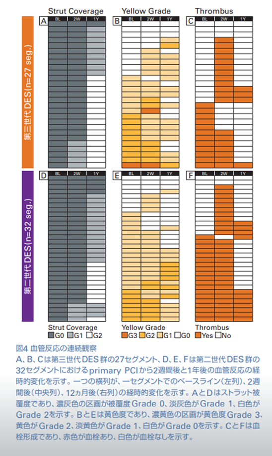図4 血管反応の連続観察