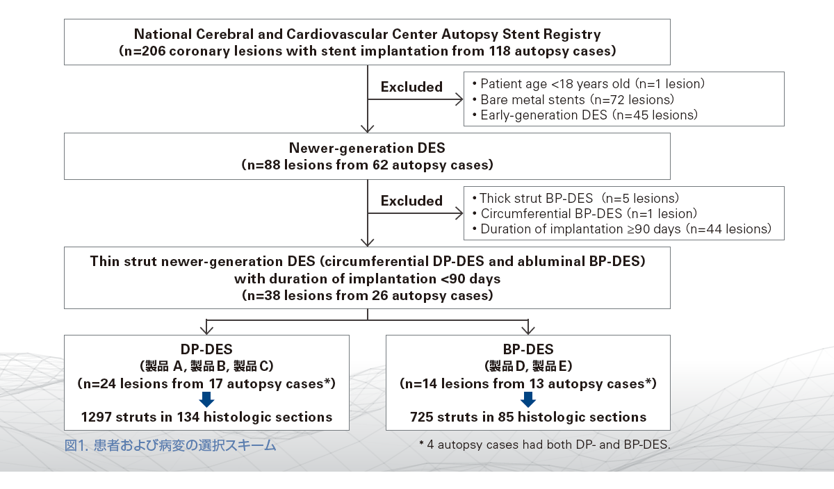 図1. 患者および病変の選択スキー
