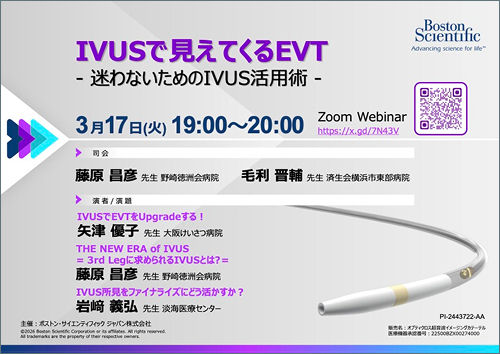 IVUSで見えてくるEVT​  - 迷わないためのIVUS活用術 -​