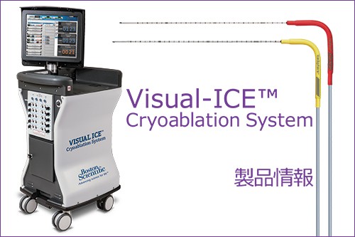 Visual-ICE™ Cryoablation System