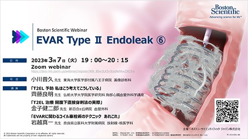 EVAR TypeⅡ Endoleak⑥