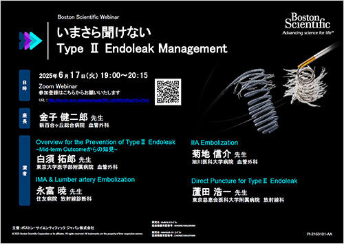 いまさら聞けない Type II Endoleak Management