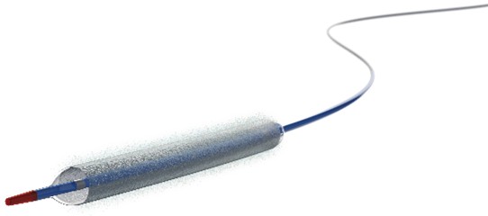 Agent パクリタキセルコーティッド バルーンカテーテル