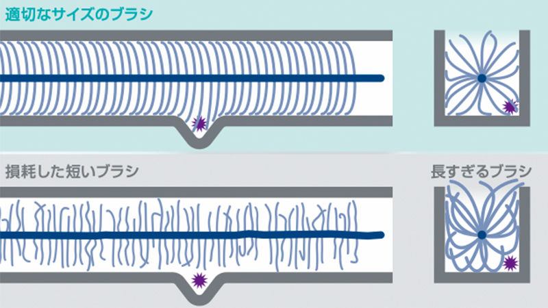 適切なサイズのブラシと損耗した短いブラシの比較イラスト