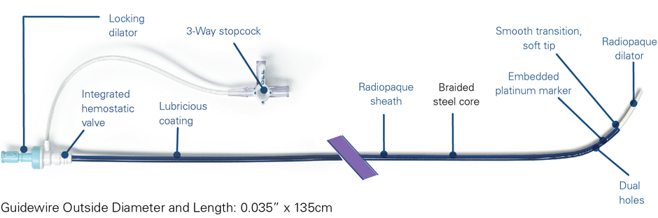 Schematic showing key elements of the TSX transseptal delivery system