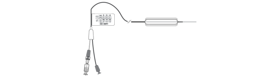 CRE Single-Use Wireguided Esophageal / Pyloric Balloon Dilators
