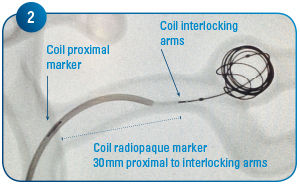 Coil Delivery 2