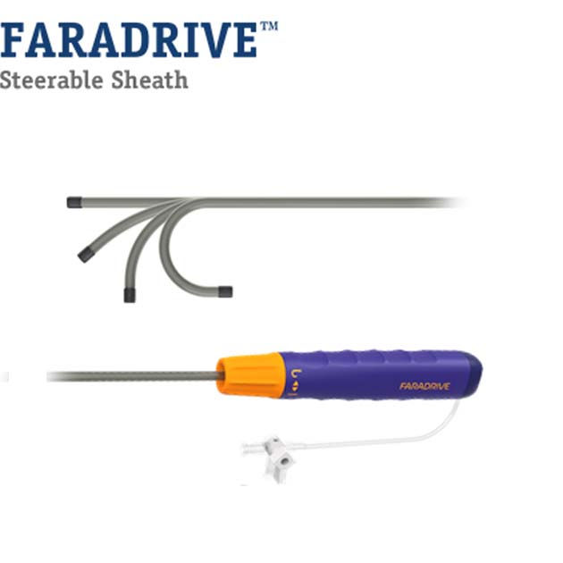 FARADRIVE