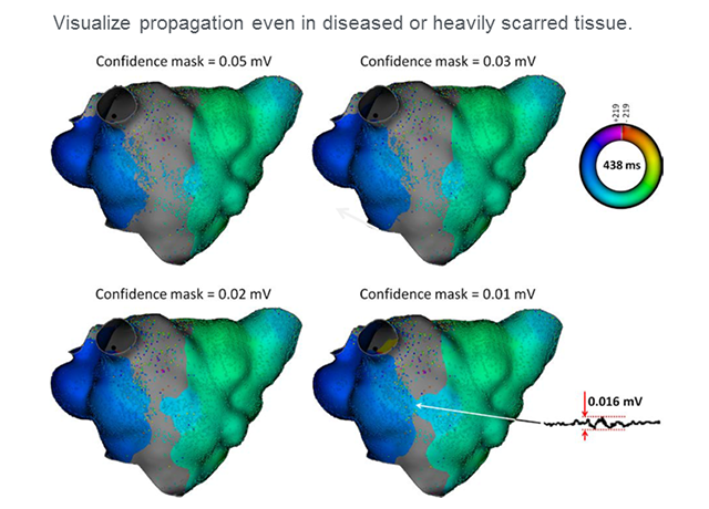 Visual Propagation