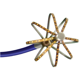 IntellaMap Orion Mapping Catheter