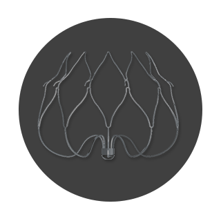 Estrutura de Nitinol