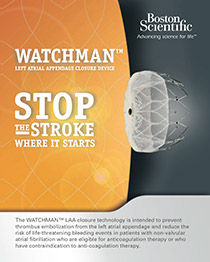 Watchman: Parar o Derrame Onde Ele ComeÃ§a