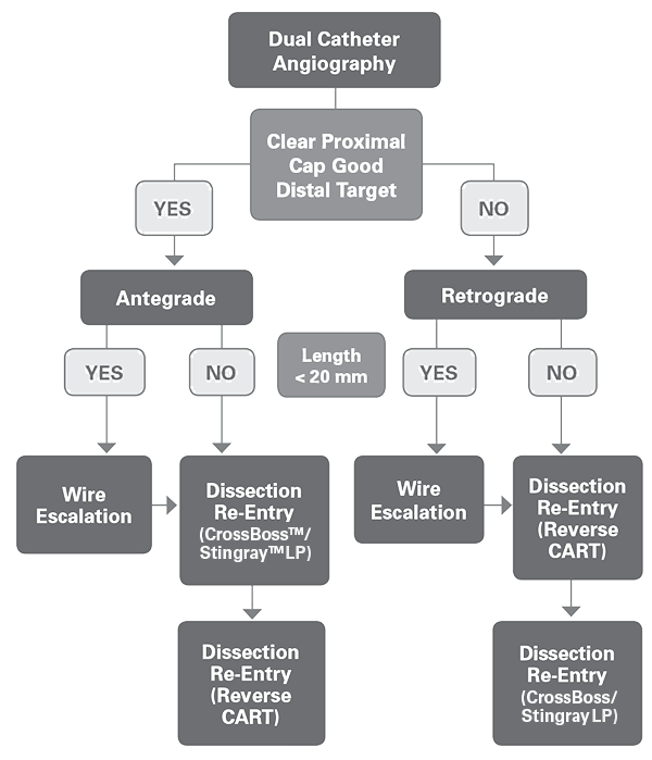 Hybrid Algorithm for CTO PCI