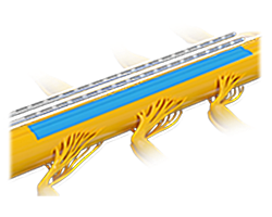 Illustration of Precision Spectra coverage on human spine