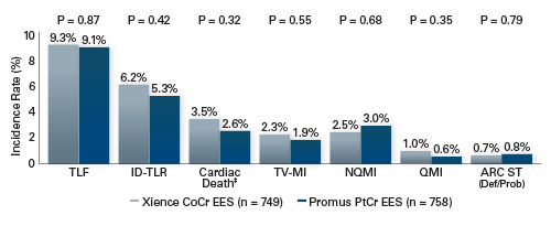 PLATINUM Workhorse 5-year Clinical Results