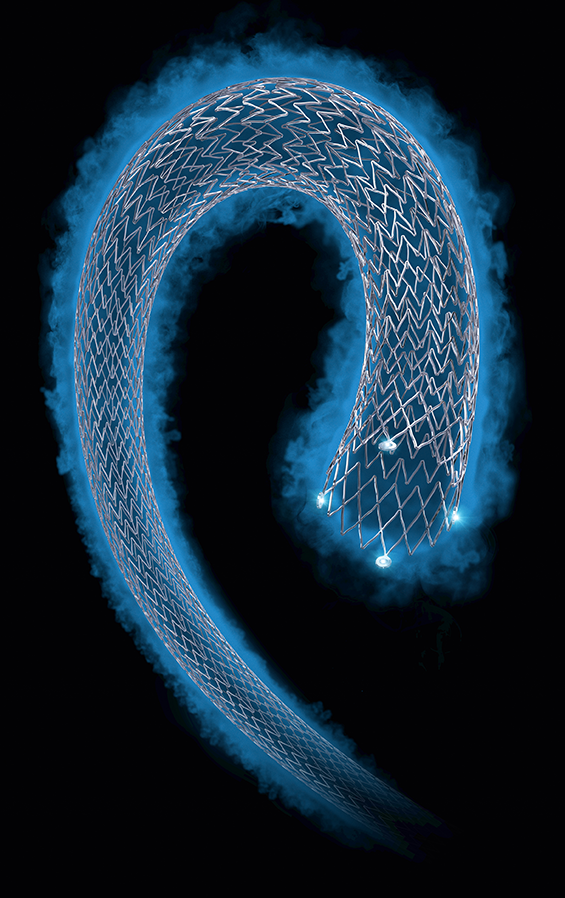 Eluvia Drug-Eluting Stent