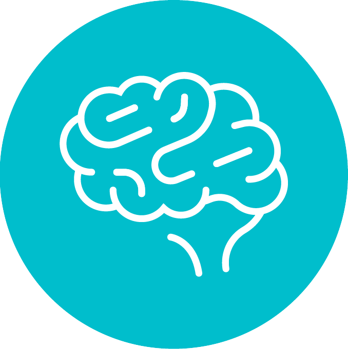 brain